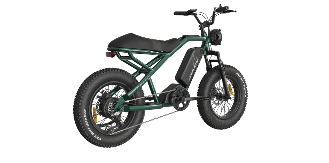 RAEV BULLET