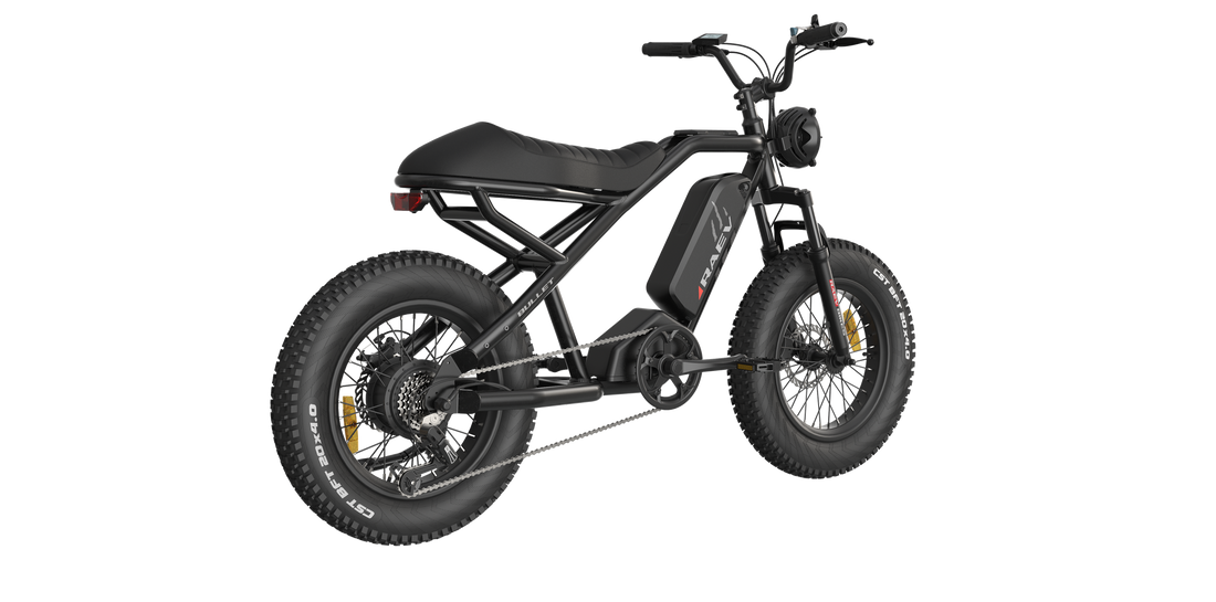 RAEV BULLET