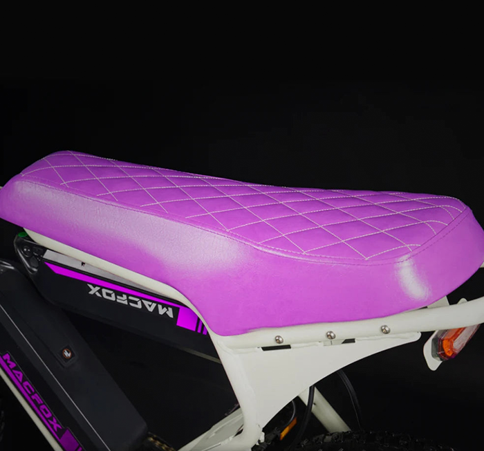 Macfox E-bike X1S x Bs.zay